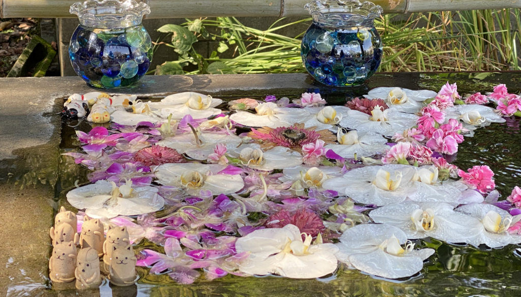 前玉神社の花手水