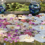 前玉神社の花手水