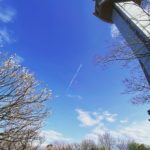 古代蓮タワーと空