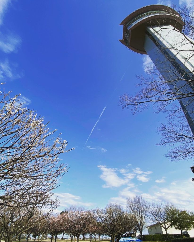 古代蓮タワーと空