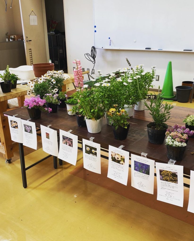 春の寄せ植え講座